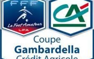 Coupe Gambardella : Val Lyonnais - U19(1)